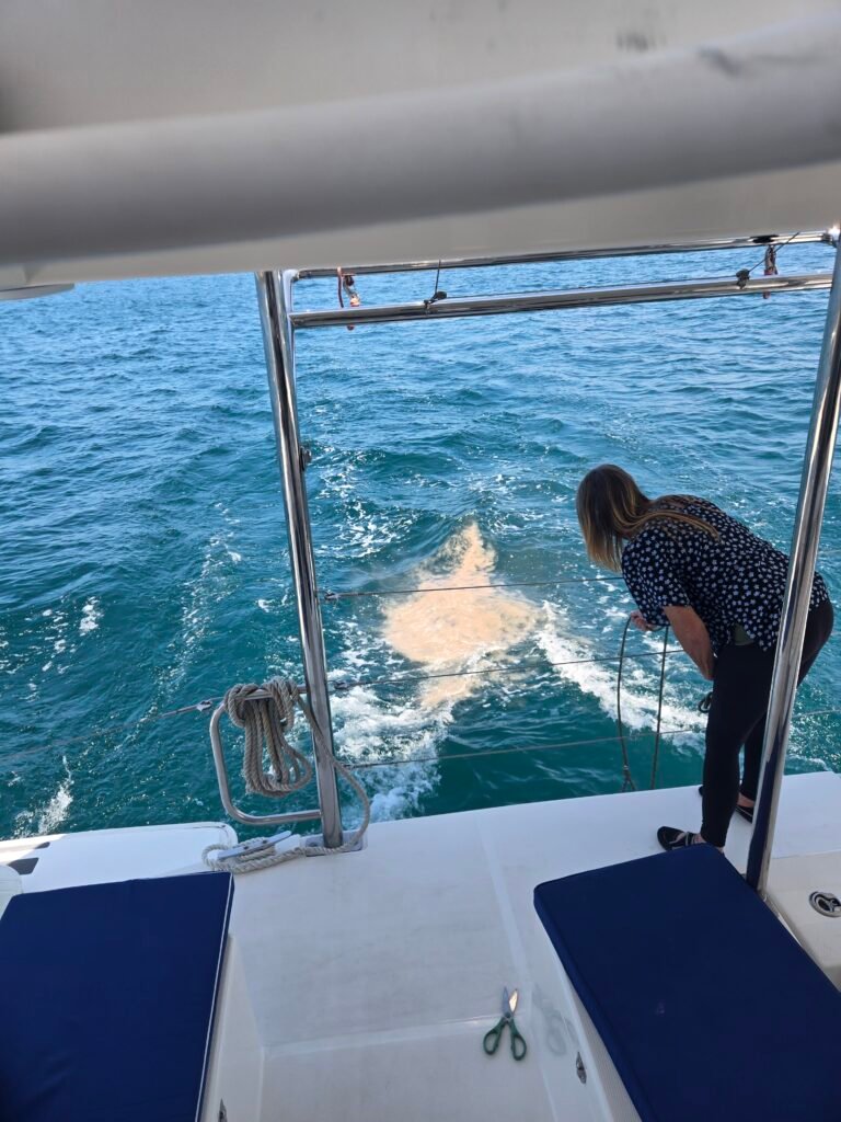 San Diego Burials at Sea